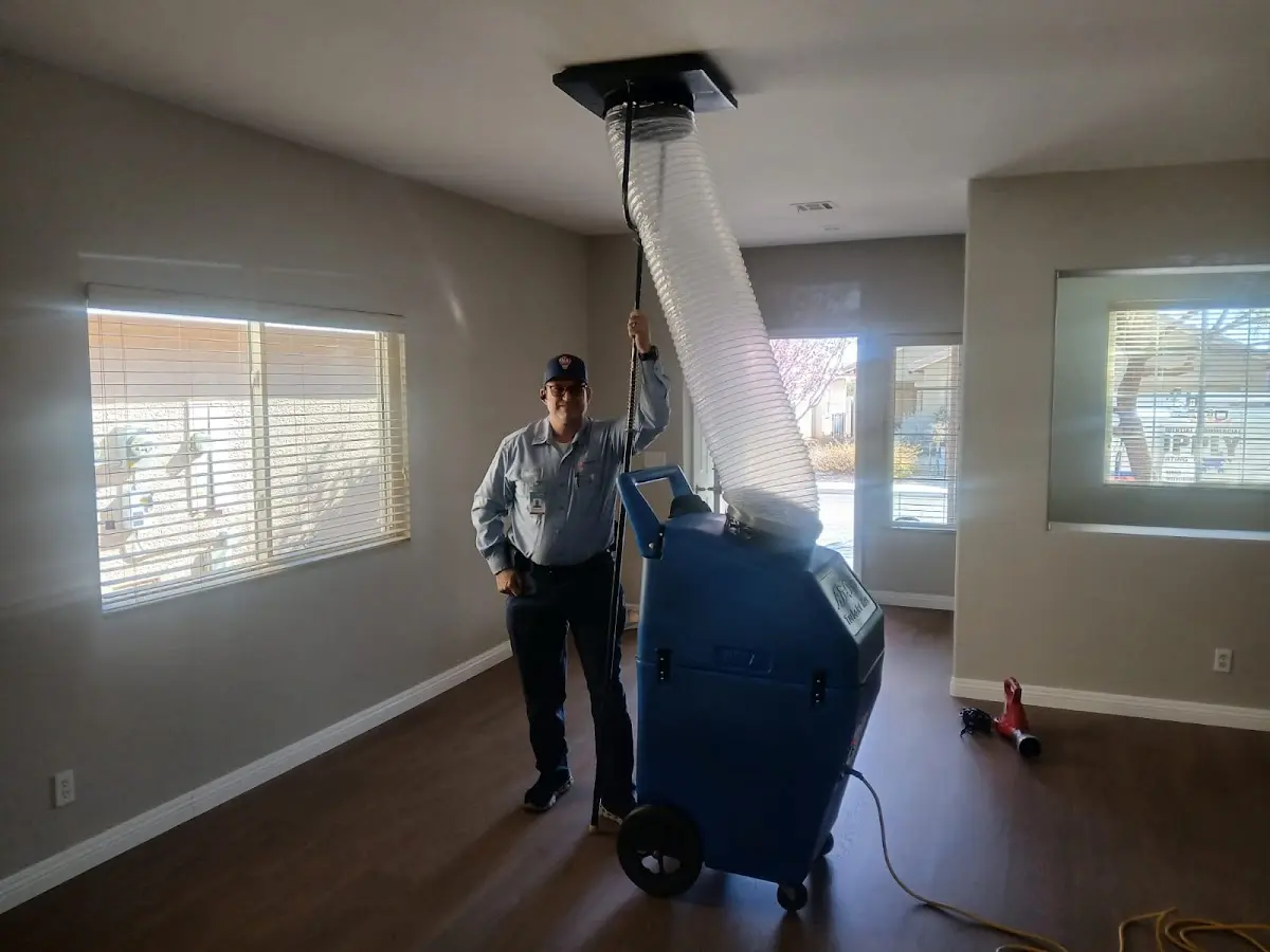 Professional Dryer Vent Cleaning work inside a West Caldwell home